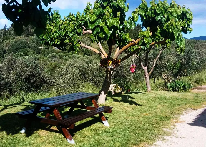Semesterbostad Lily Home_lefkada ~ Private *